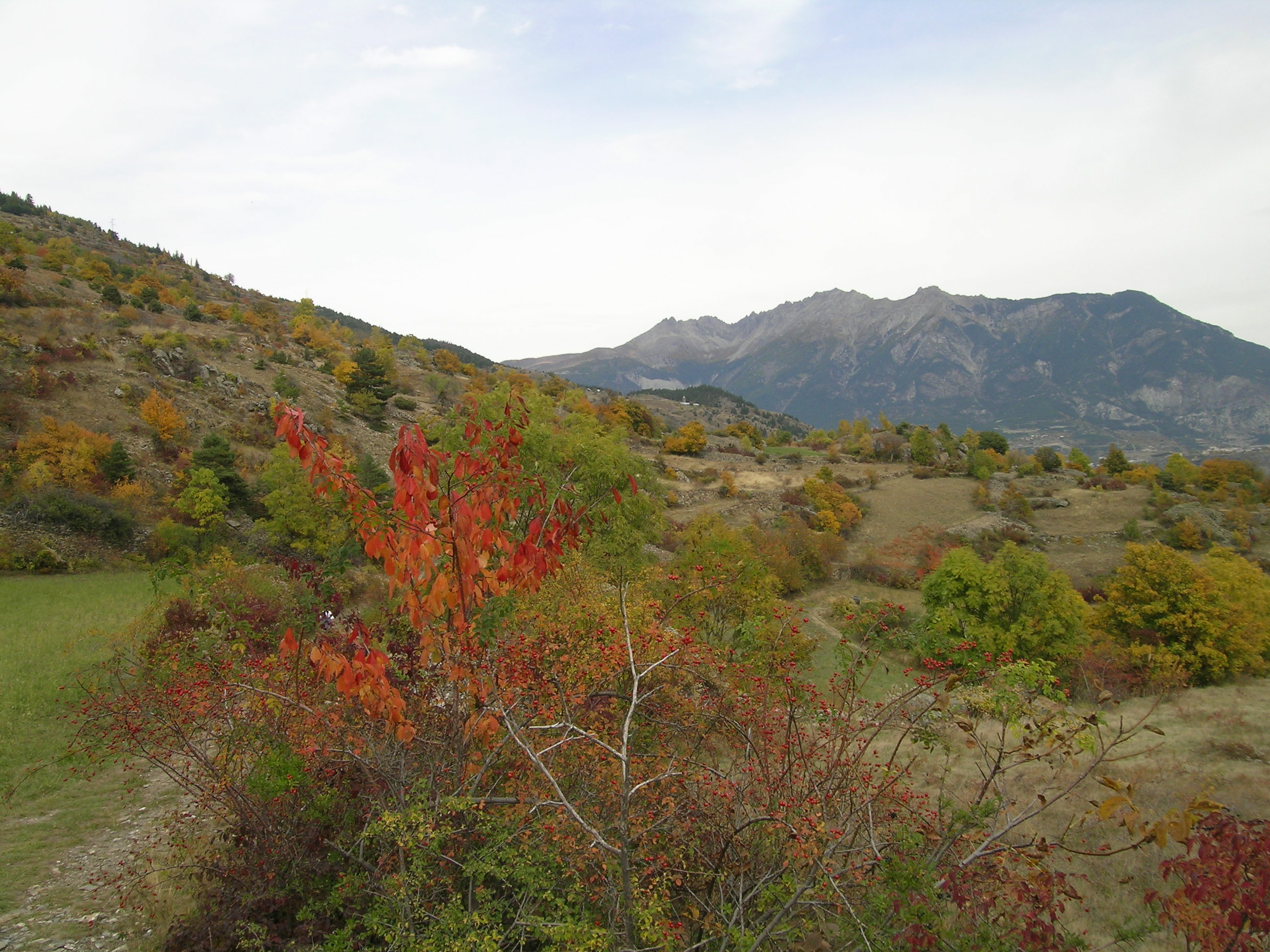 L'automne