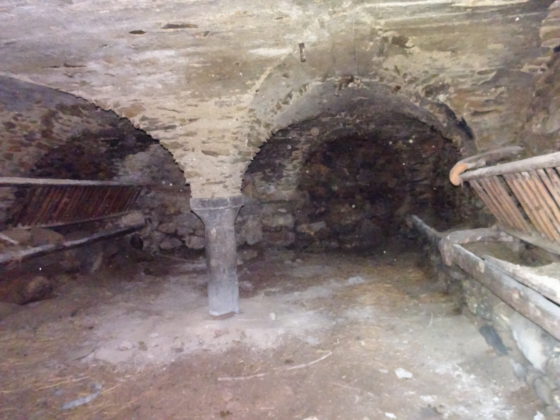 Maison Beaufils au Bas Villard . Belle écurie voûtée permettant un double alignement de vaches attachées au rebord des mangeoires latérales dominées par les râteliers à foin.
