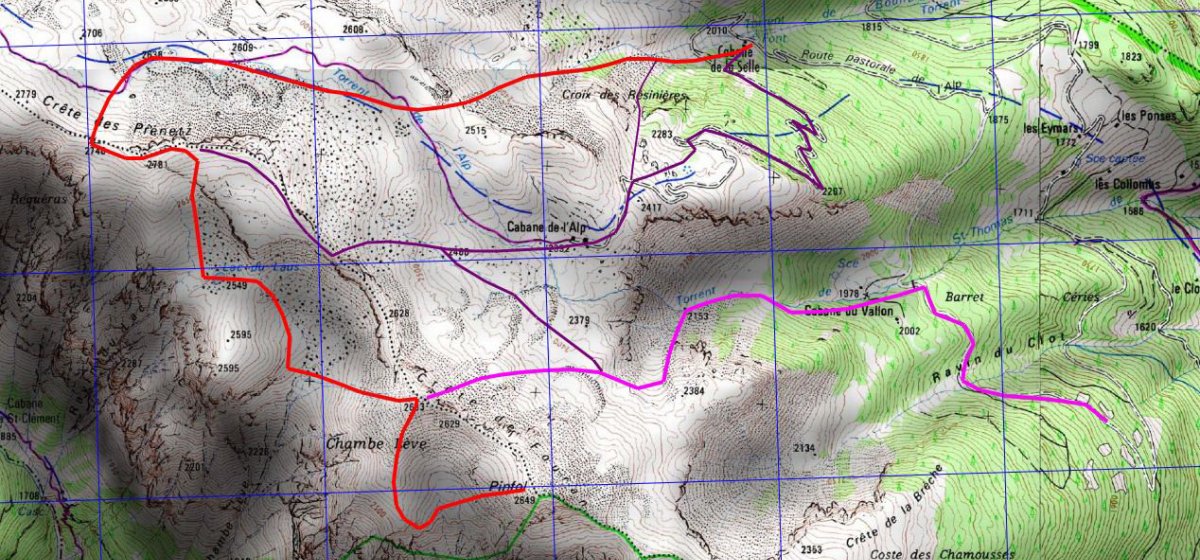 CRÊTE DE FOURAN (2683) : itinéraires de printemps ; pistes ouvertes au dessus de Mikéou. En rouge, boucle de Chambe Lève depuis le Pinfol ; en violet clair, pente nord est ; en violet foncé, variantes (communes avec certaines descentes de Prenetz ou Vautisse).