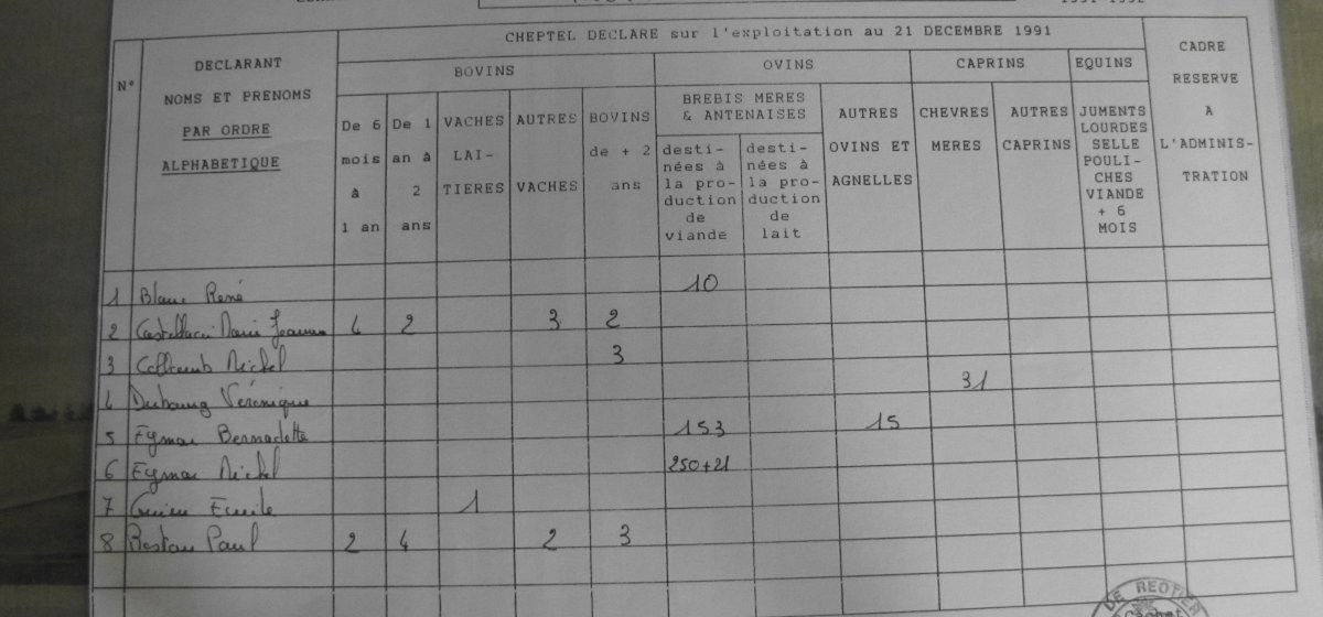 Déclaration de cheptel 1991.