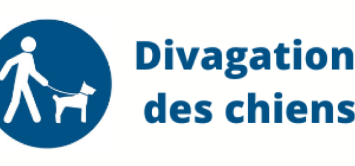 Divagation de chiens