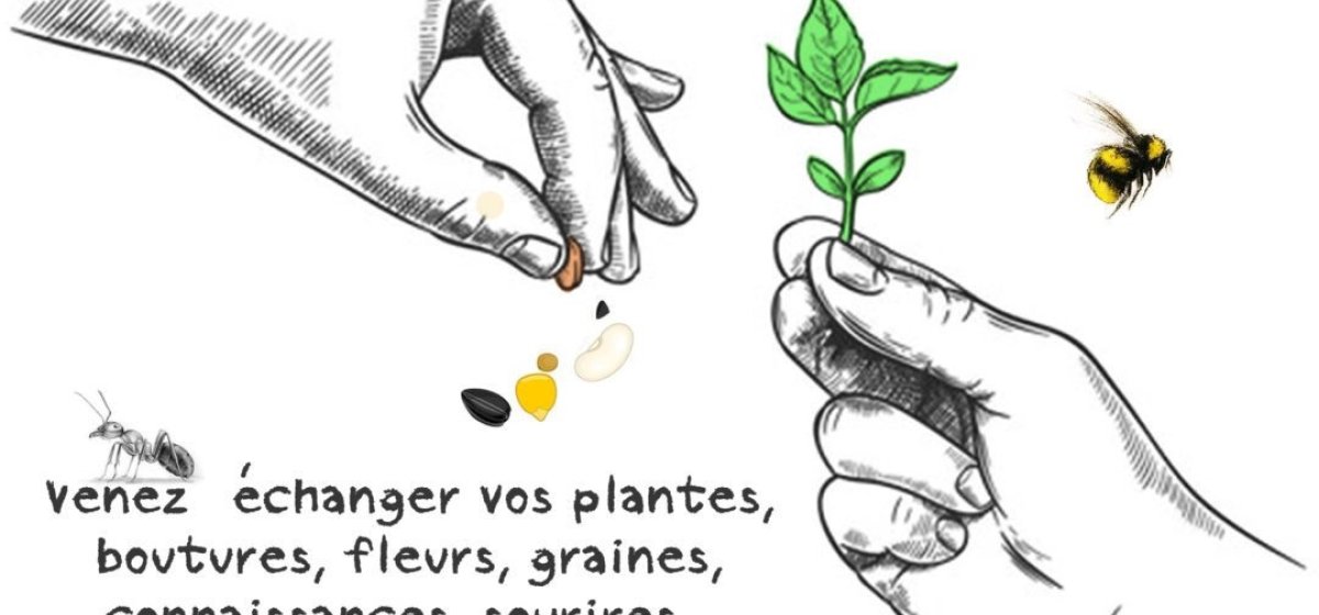 Photo Troc Vert