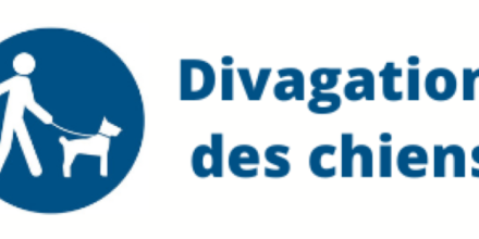 Divagation de chiens