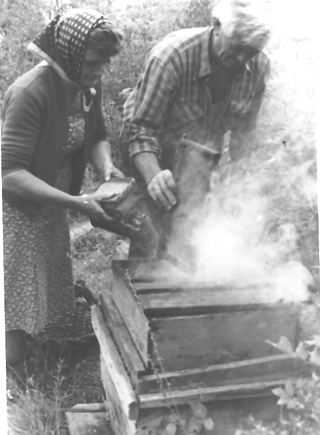 Roger et Jeannette Brun au rucher : enfumage.(Ph.J.M.Collomb)
